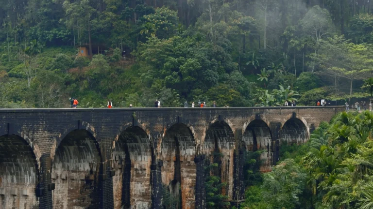 tourists-walk-on-stone-bridge-in-jungle-action-p-2026-03-17-05-37-30-utc